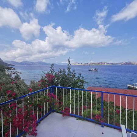 ホテル Mavi Akvaryum Pension Sogut  エクステリア 写真