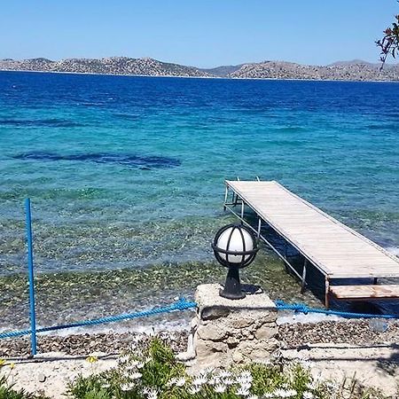 ホテル Mavi Akvaryum Pension Sogut  エクステリア 写真