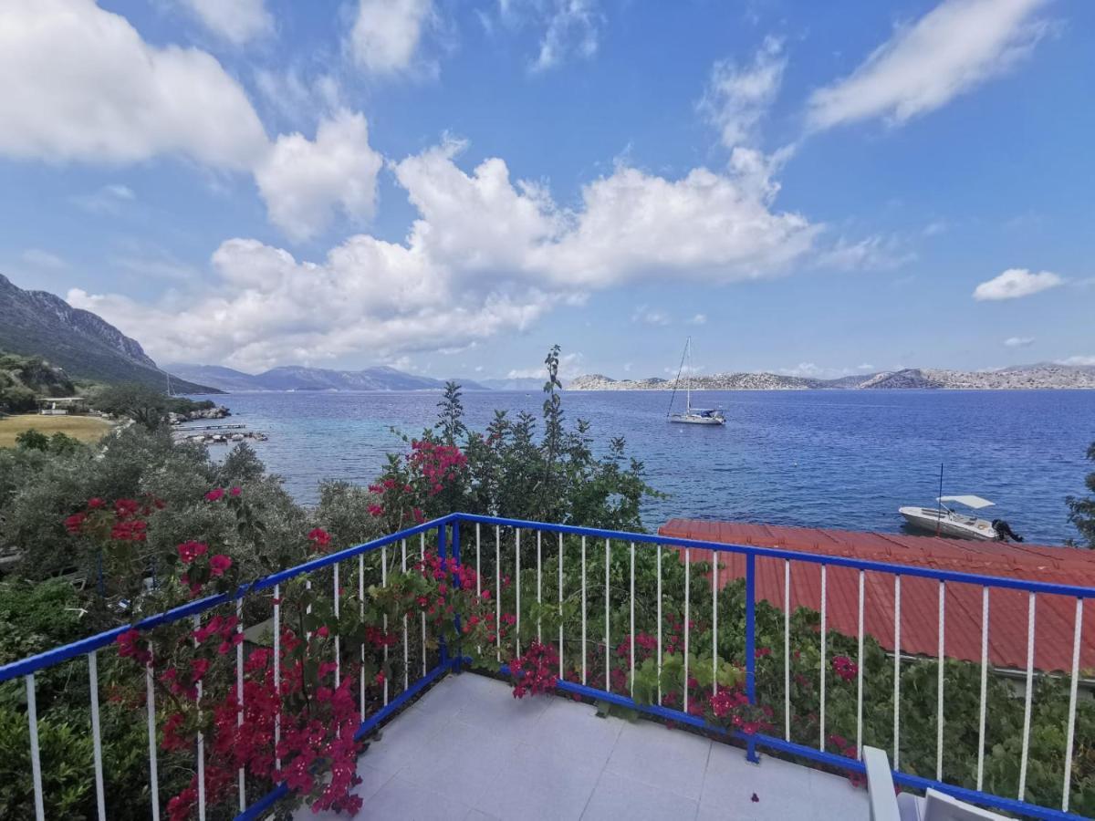 ホテル Mavi Akvaryum Pension Sogut  エクステリア 写真