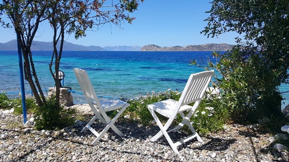 ホテル Mavi Akvaryum Pension Sogut  エクステリア 写真