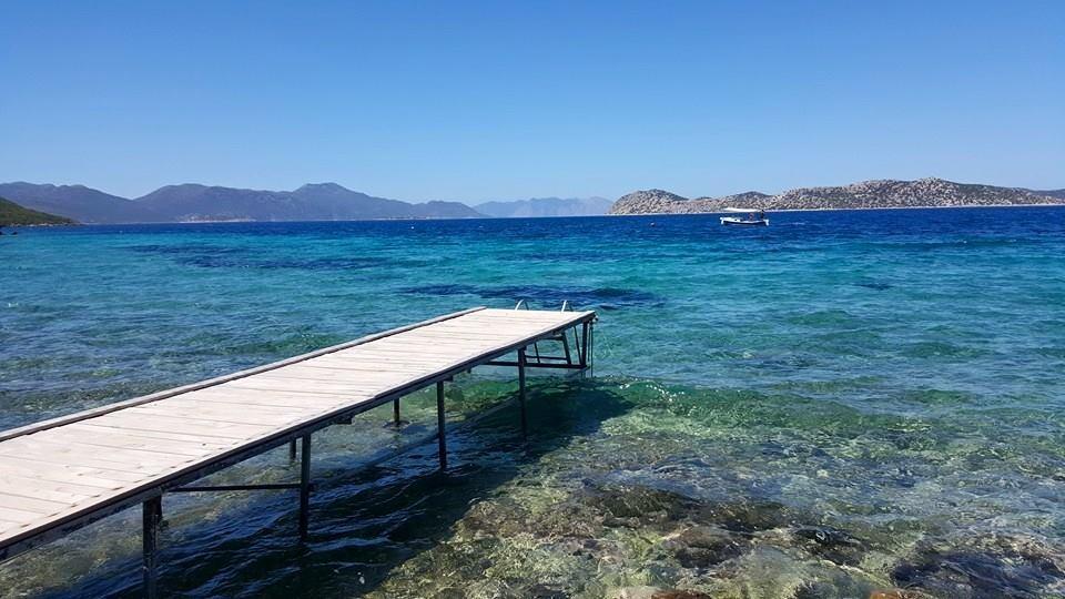 ホテル Mavi Akvaryum Pension Sogut  エクステリア 写真