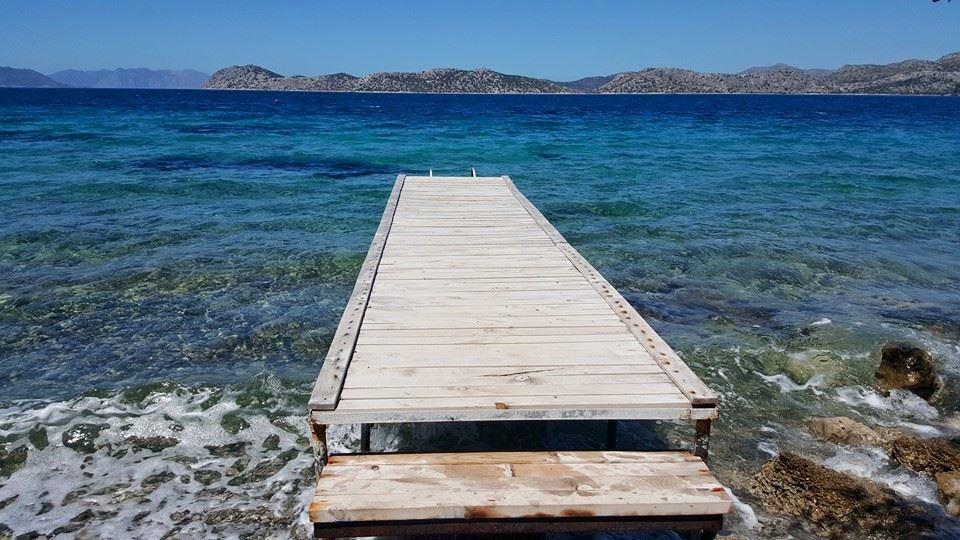 ホテル Mavi Akvaryum Pension Sogut  エクステリア 写真