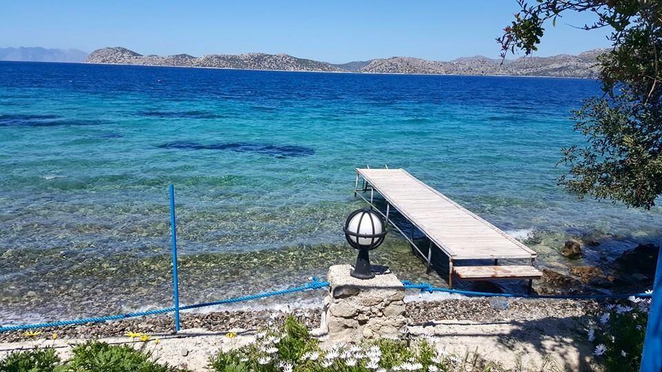 ホテル Mavi Akvaryum Pension Sogut  エクステリア 写真