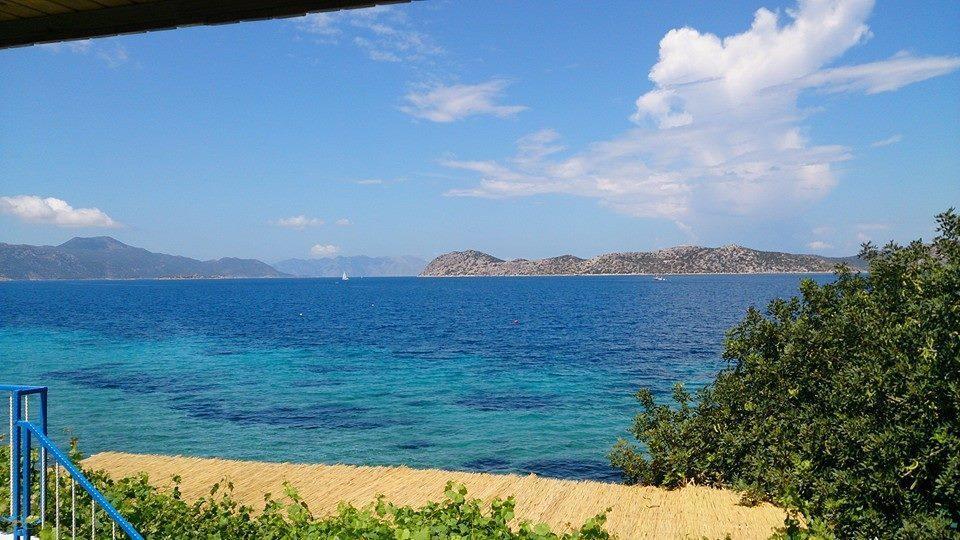 ホテル Mavi Akvaryum Pension Sogut  エクステリア 写真