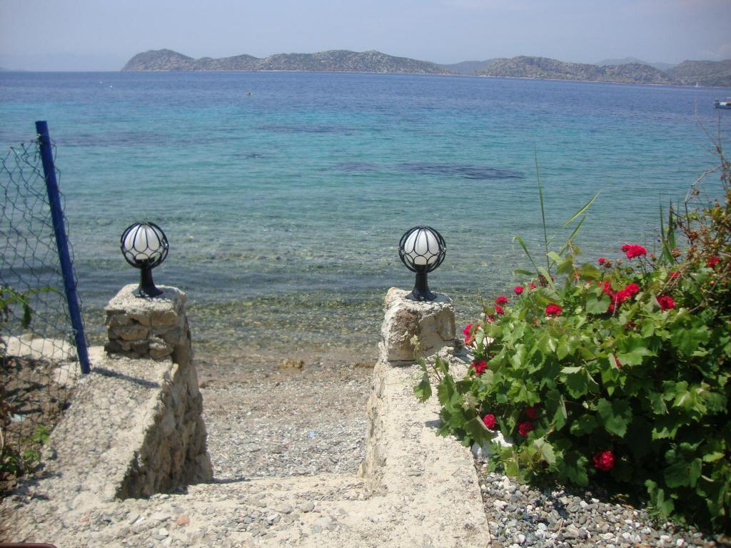 ホテル Mavi Akvaryum Pension Sogut  エクステリア 写真