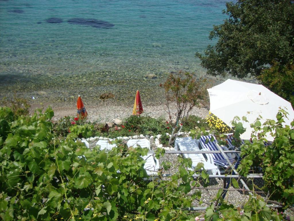 ホテル Mavi Akvaryum Pension Sogut  エクステリア 写真