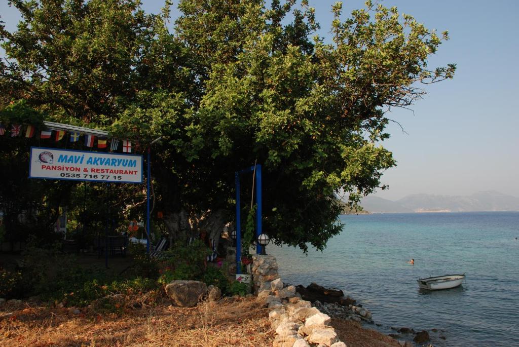 ホテル Mavi Akvaryum Pension Sogut  エクステリア 写真