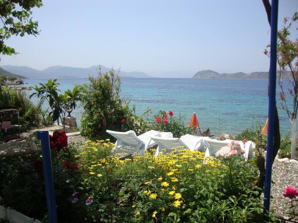 ホテル Mavi Akvaryum Pension Sogut  エクステリア 写真
