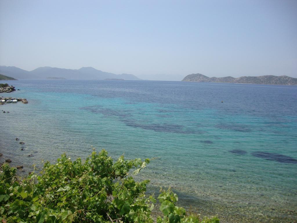 ホテル Mavi Akvaryum Pension Sogut  エクステリア 写真